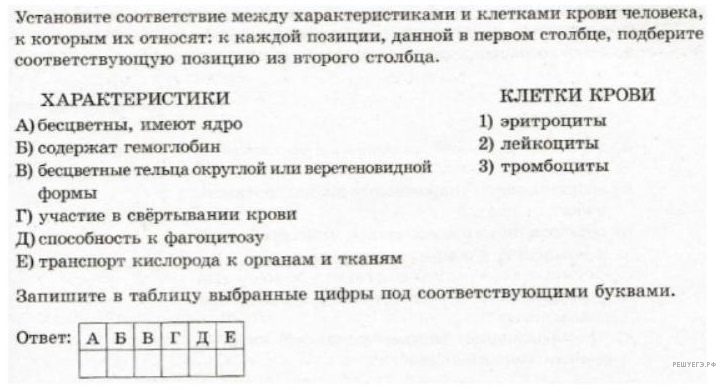 Чертеж к задаче