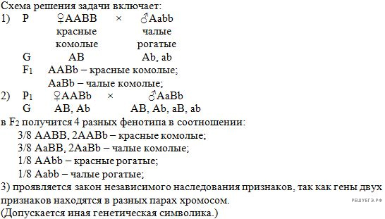Чертеж / схема