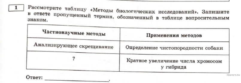 Чертеж / схема