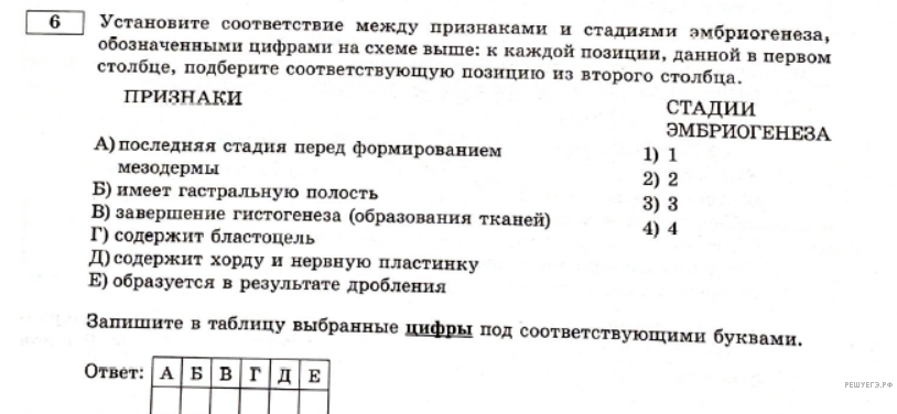 Чертеж / схема