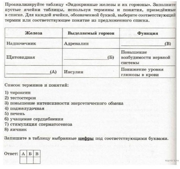 Чертеж / схема