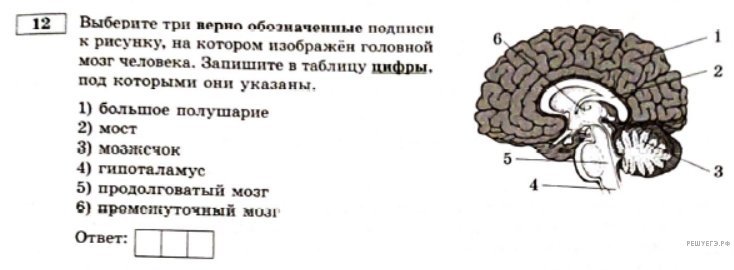 Чертеж / схема