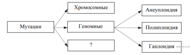 Чертеж к задаче