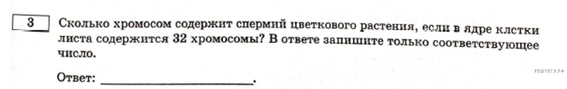 Чертеж / схема