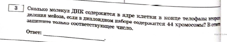 Чертеж / схема