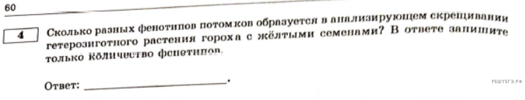 Чертеж / схема