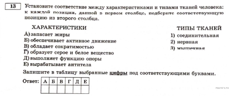 Чертеж / схема